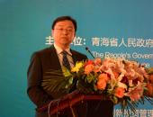 比亚迪王传福：“十三五”中国锂电池会形成新业态