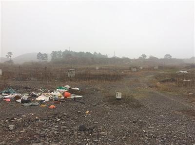 图为浙江莫干山高新区北部园区,乐视德清项目的规划地。新京报记者 张帆 摄