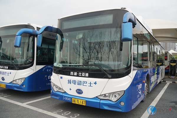 "杭州模式"揭示比亚迪如何开拓外地新能源汽车市场