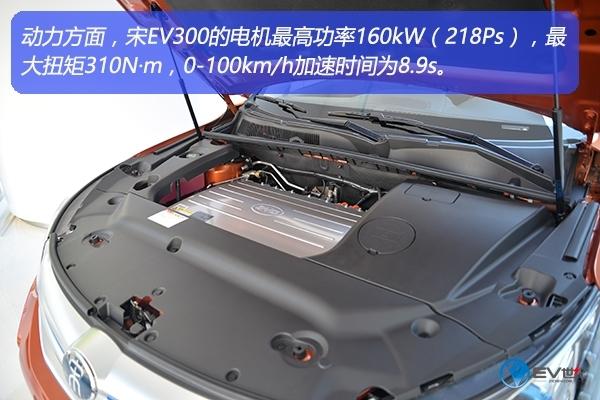 12143801f3bd32e4986799.jpg