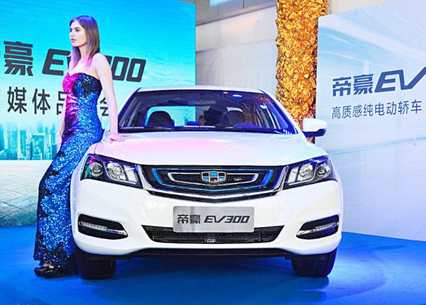 帝豪EV300.jpg