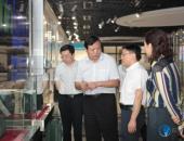 广东省商务厅厅长郑建荣莅临银隆新能源参观考察