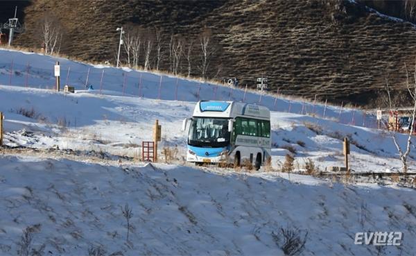 qinglunt_20181116123920_副本.jpg
