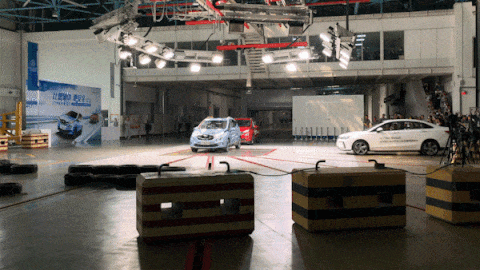 IMG_3567_3_1 (1).gif