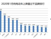 2020年1月纯电动品牌上牌量 比亚迪总量最多 国产Model 3单车型夺冠