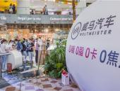 汽车快消组合拳，元气威马强势“出圈”