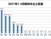 苦乐不均、分化加剧：新创车企上半年销量分析