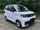 酷似五菱宏光MINI EV 奇瑞申报全新微型电动车