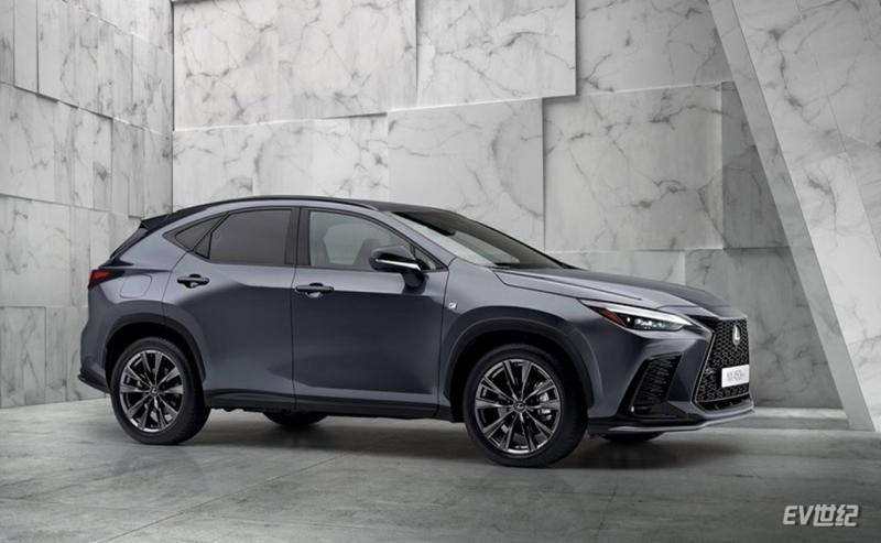 Lexus-NX-2022-800-0c.jpg