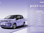 A00级也降价！纯电小车“天花板”思皓花仙子限时优惠仅剩一周