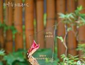 好用好省 备受好评 2023重庆车展蓝电E5屡获殊荣