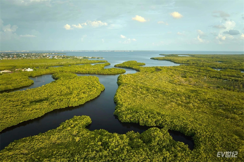 02. 湿地被誉为“地球之肾”，是地球三大生态系统之一.jpg
