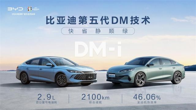 290823178d129dd6ce6777.jpg