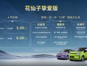 与其向上开卷不如向下求稳 江淮钇为推5.99万元起花仙子挚爱版