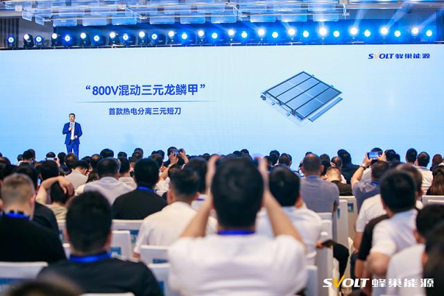 图2-800V混动三元龙鳞甲.JPG