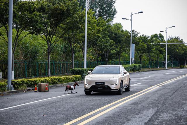 躲避小动物.jpg