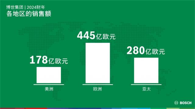 13 2024财年：各地区的业务发展 Business year 2024：Sales by region.JPG
