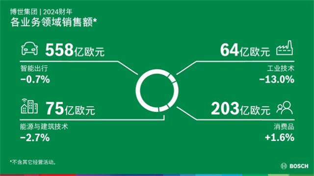 12 2024财年：各业务领域发展 Business year 2024：Sales by business sector.JPG