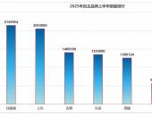 2025上半年车企销量盘点：自主品牌智能化崛起，地平线成幕后最大“推手”
