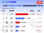 2025上半年比亚迪领跑全球多个新能源汽车市场