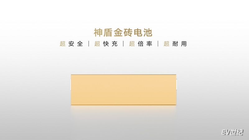 神盾金砖电池_调整大小.jpg