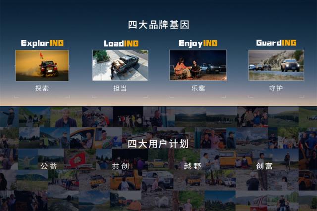 图片12.jpg