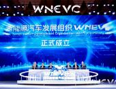 世界新能源汽车发展组织成立