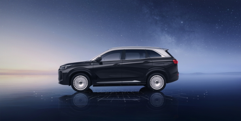 01125956aa16fd72b58203.jpg 7.jpg